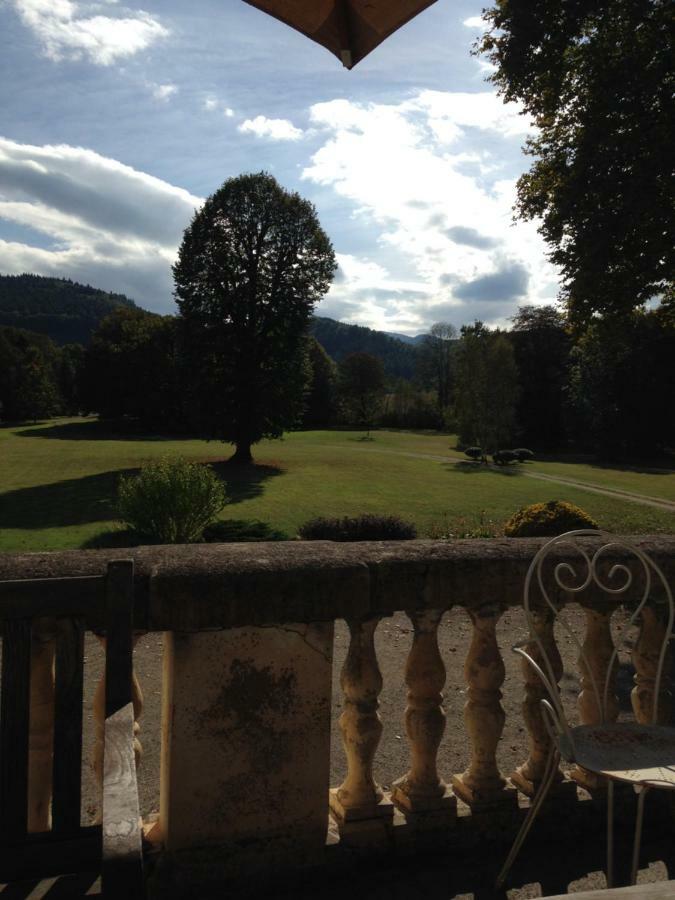 Chateau Du Val Larbont La Bastide-de-Sérou Exteriér fotografie